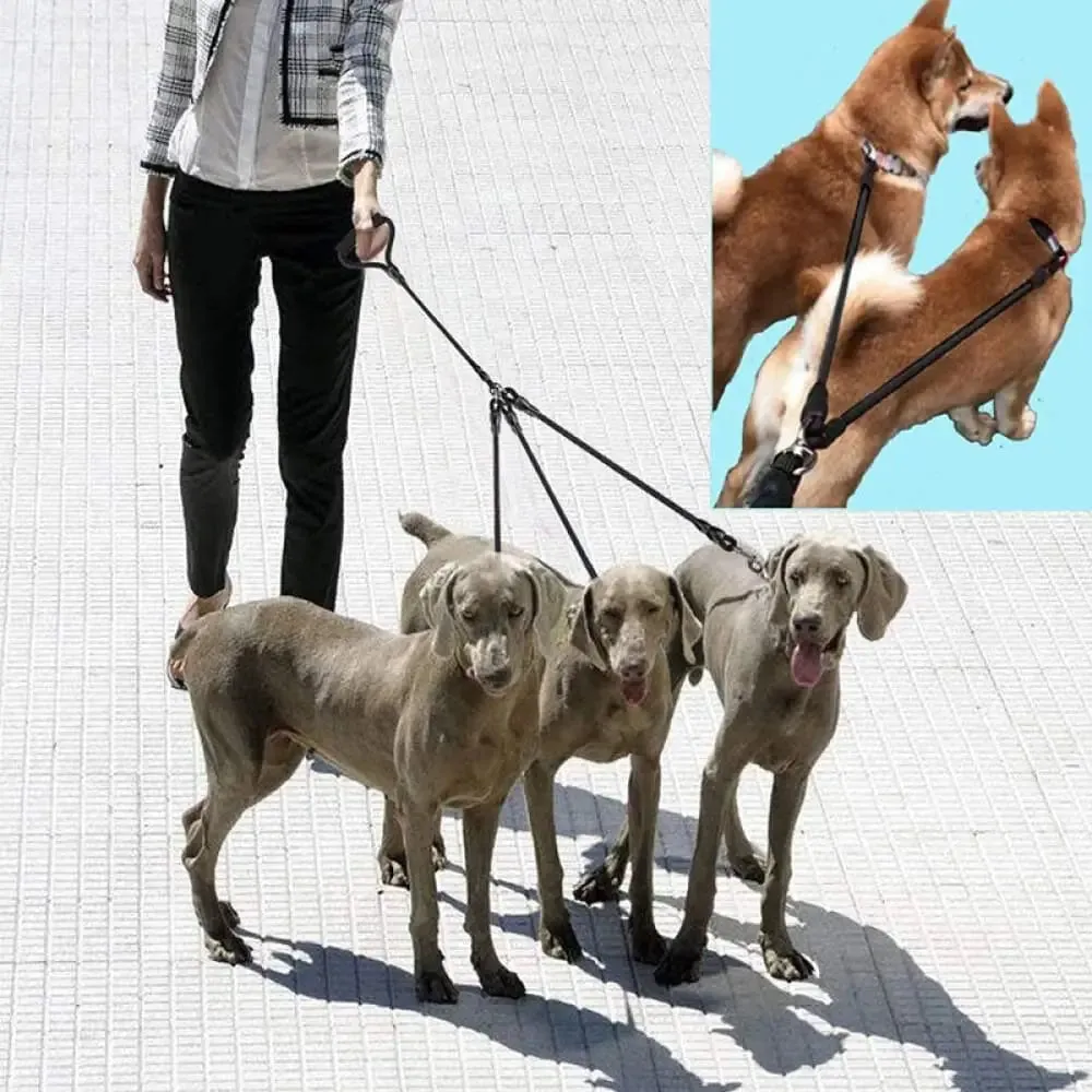 3 In1 Heavy Duty Dual Triple 360 Swivel no Tangle Hand-protected Dog Leash