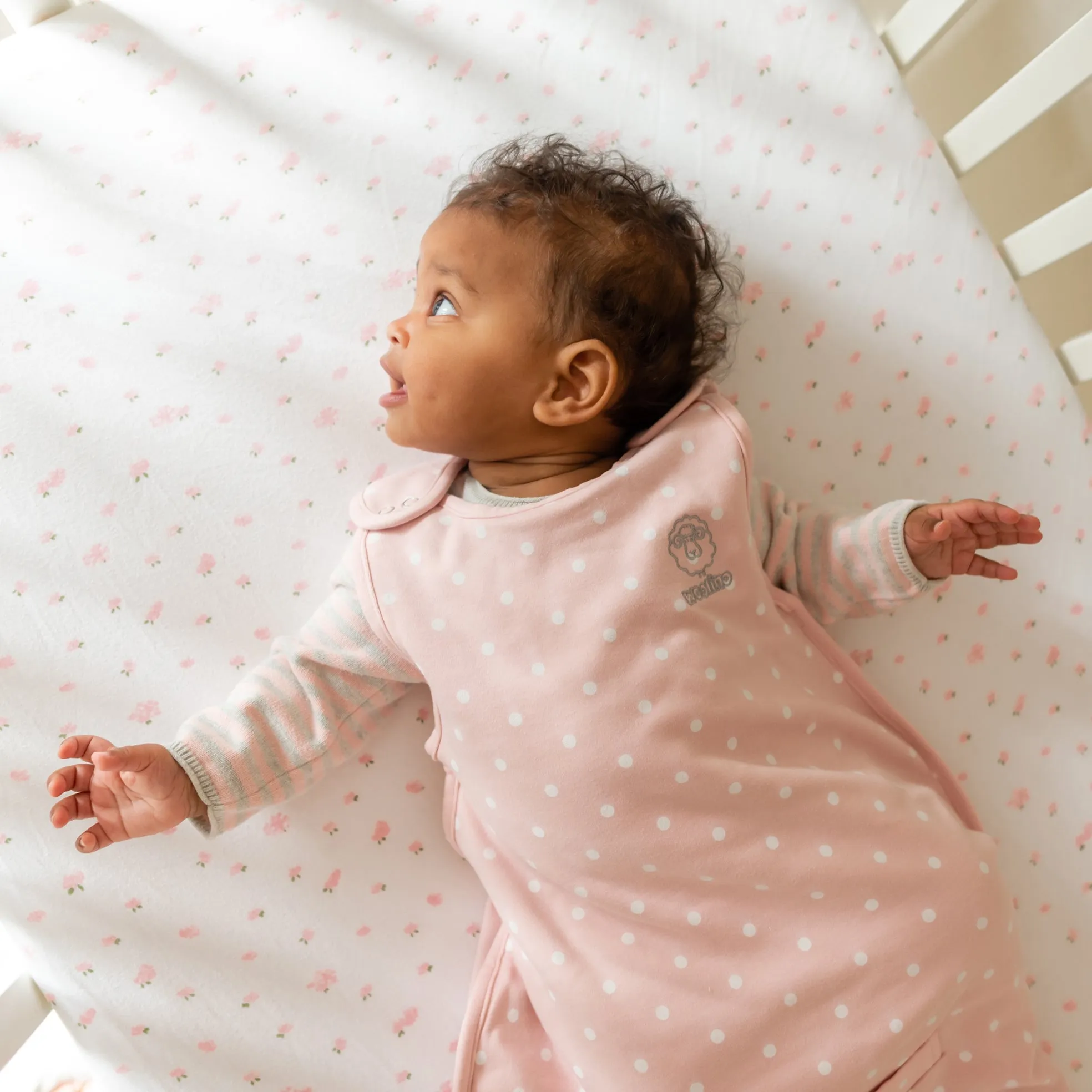4 Season Ultimate Baby Sleep Bag, Merino Wool & Organic Cotton, 2 Months - 2 Years, Rose