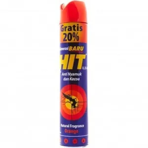 Baygon/HIT 800 ml