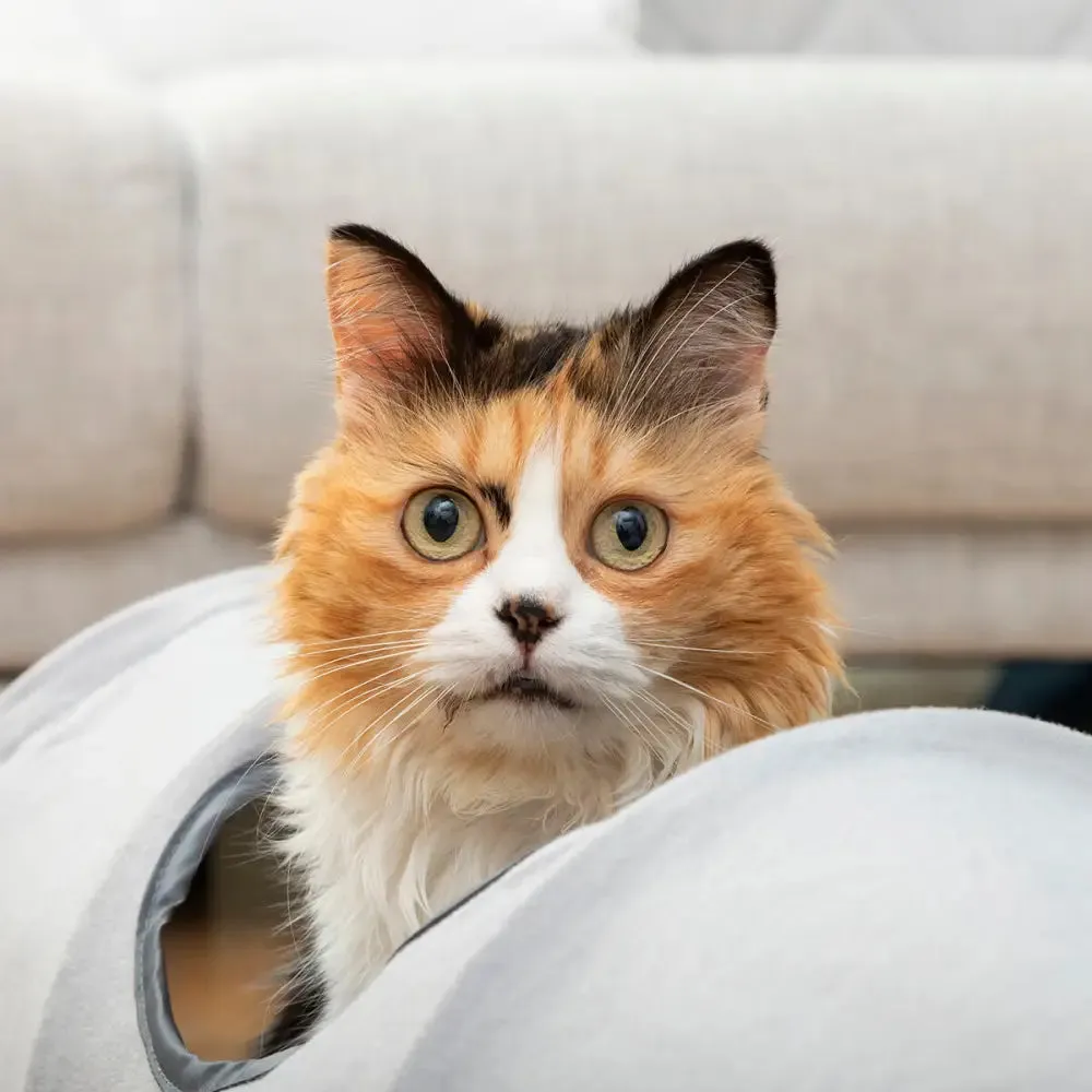 Collapsible Pet Tunnel Funnyl Innovagoods