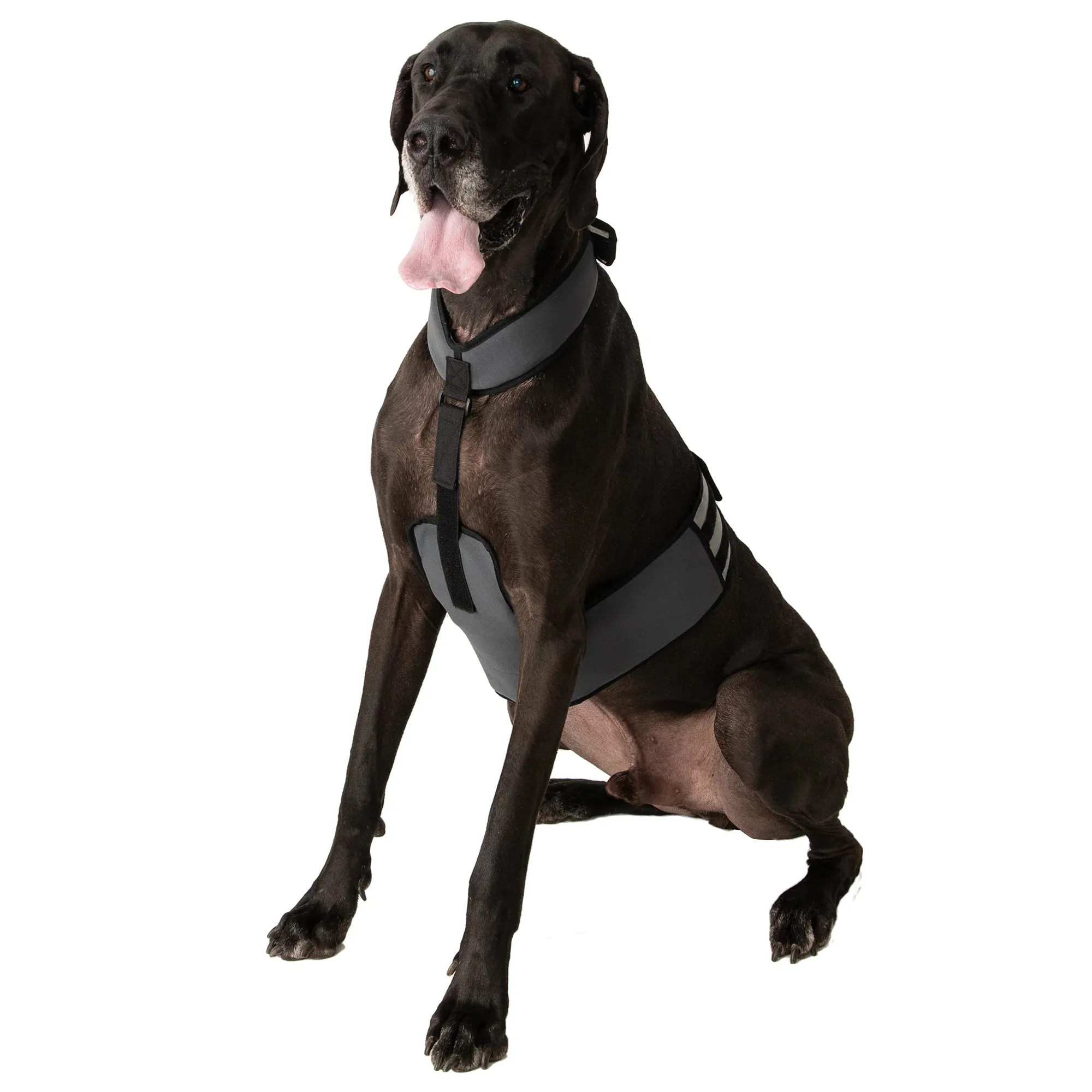 CoolerDog Cooling Dog Vest/Collar