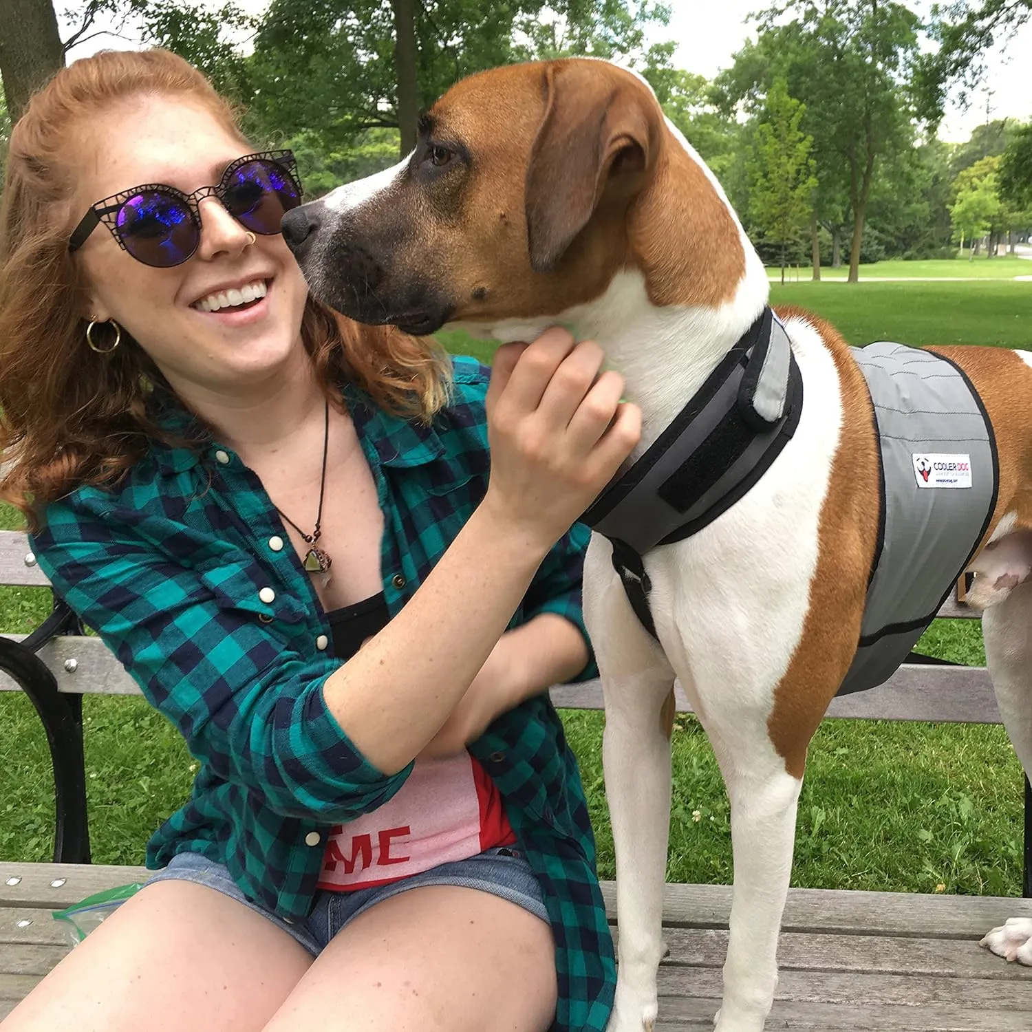 CoolerDog Cooling Dog Vest/Collar
